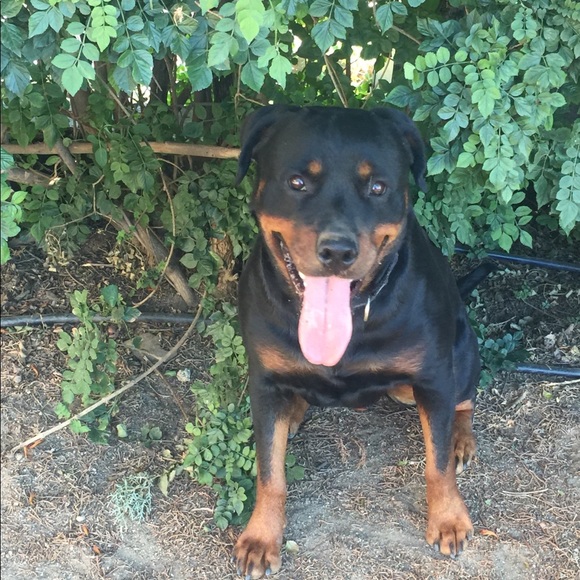 Meet your Posher, Julianna - Picture 1 of 1